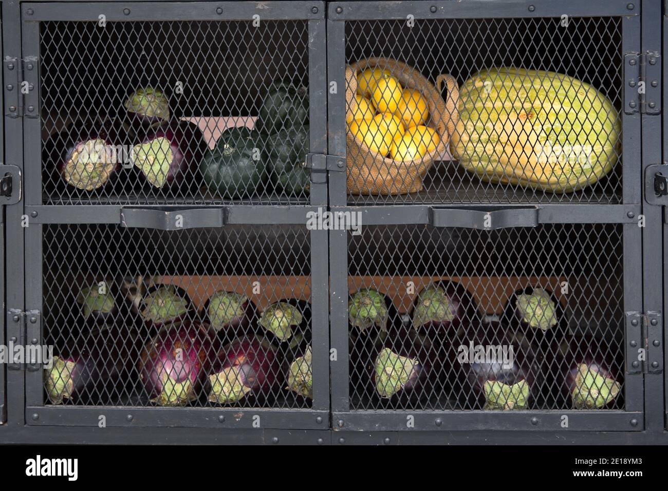 Gemüse in Gefangenschaft. Reife Kohlköpfe und Auberginen werden von Vegetariern in Käfigen gehalten Stockfoto