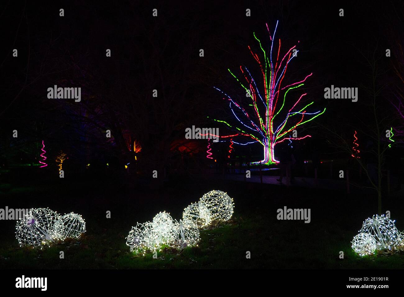 Kew Gardens Weihnachtslichtfestival 2020 Stockfoto