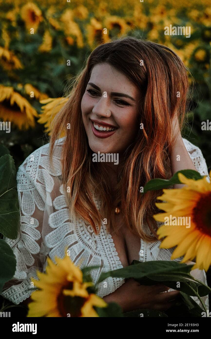 Brunette Frau in Sonnenblumenfeld, Großbritannien Stockfoto