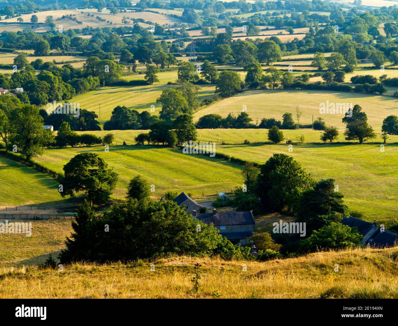 Sommer Blick auf Carsington Weiden in der Nähe von Carsington Wasser in der Derbyshire Dales Gebiet des Peak District England Großbritannien Stockfoto