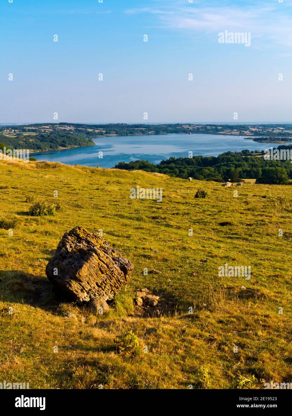 Sommer Blick auf Carsington Weiden in der Nähe von Carsington Wasserreservoir in Die Derbyshire Dales Bereich des Peak District England Großbritannien Stockfoto