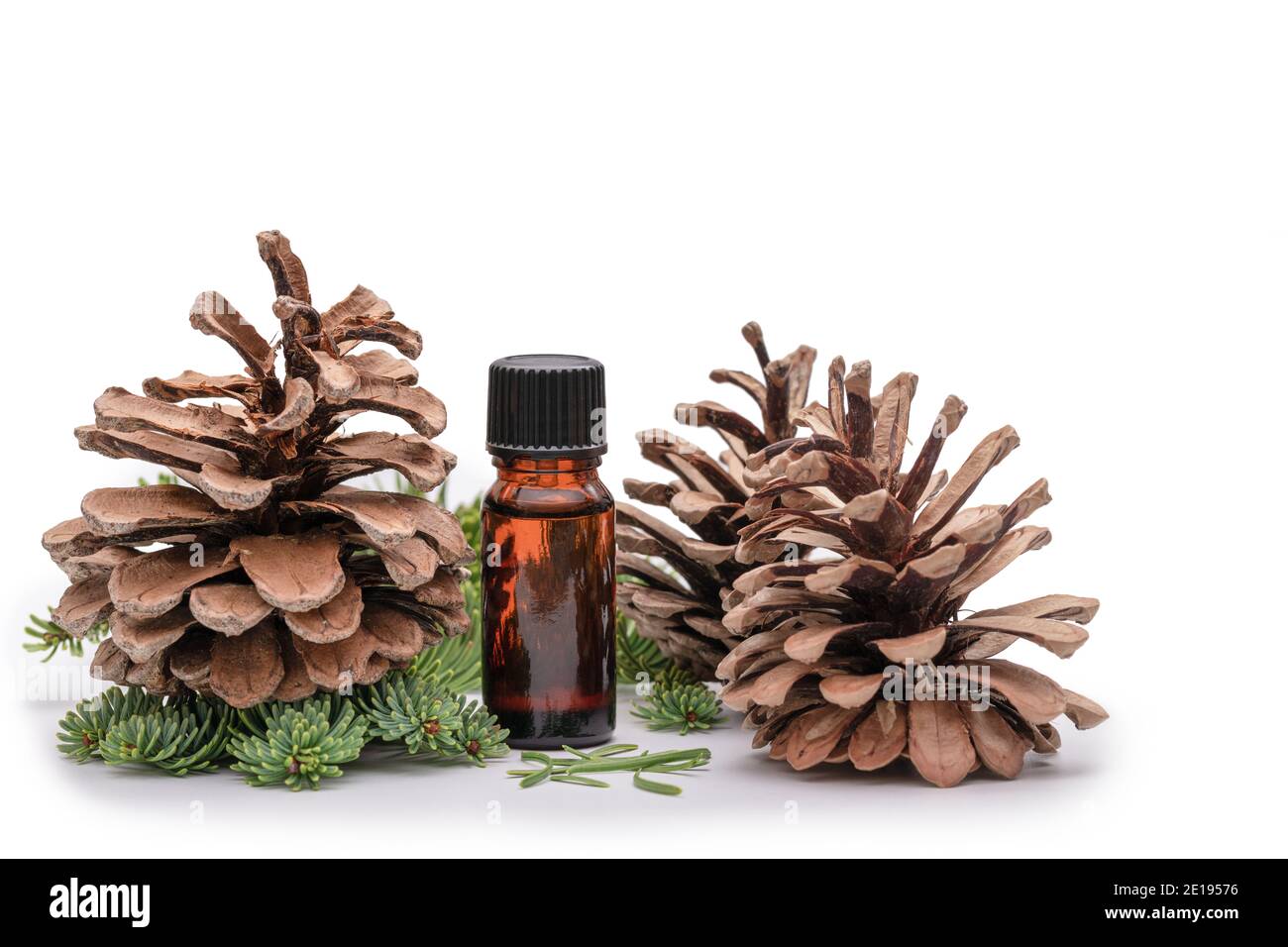Eine Aromatherapie-Ölflasche, umgeben von Pinienzweigen und Blättern Und Tannenzapfen Stockfoto