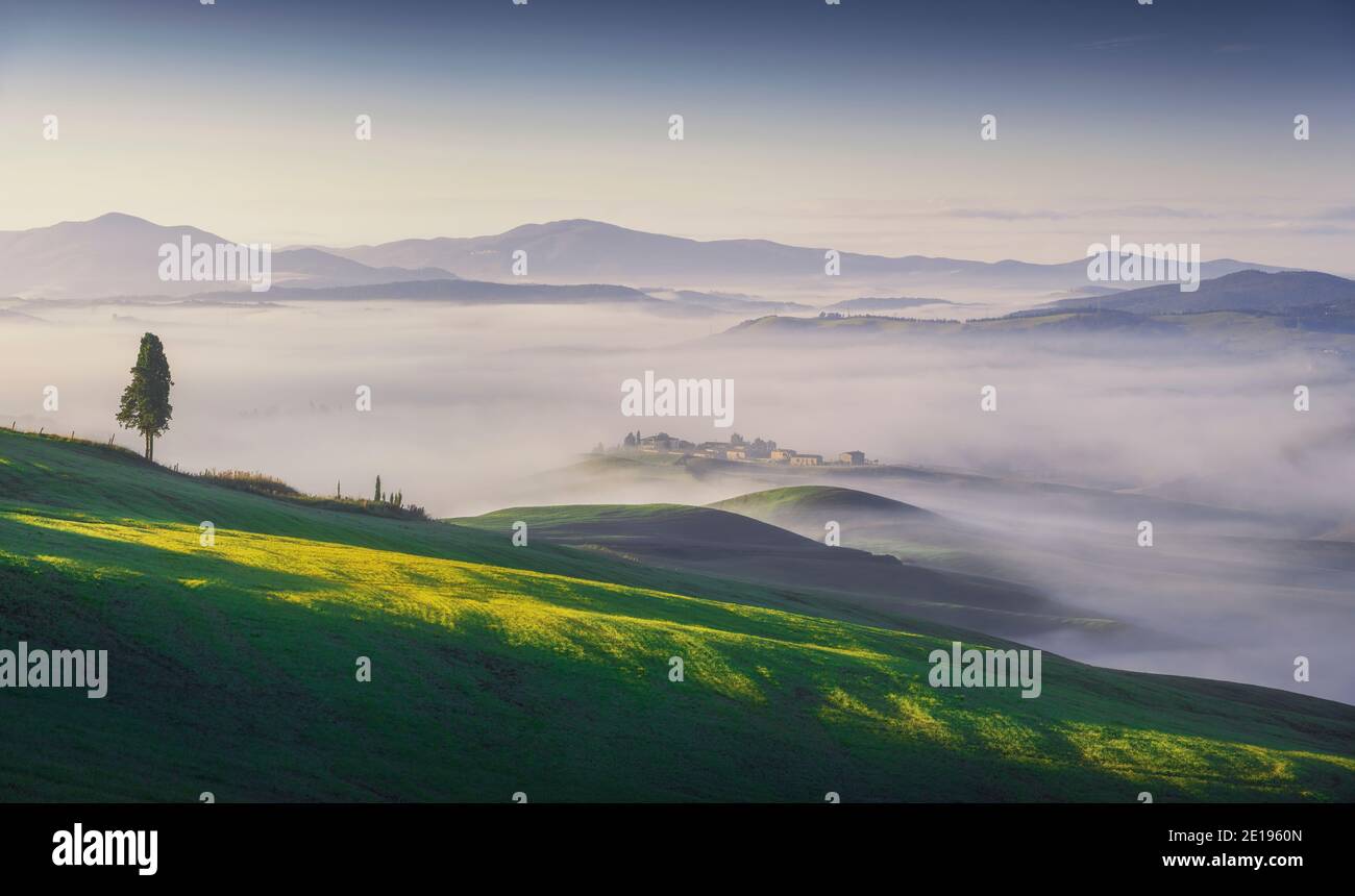 Volterra nebeliges Panorama, Bäume, sanfte Hügel und grüne Felder bei Sonnenaufgang. Toskana Italien, Europa Stockfoto