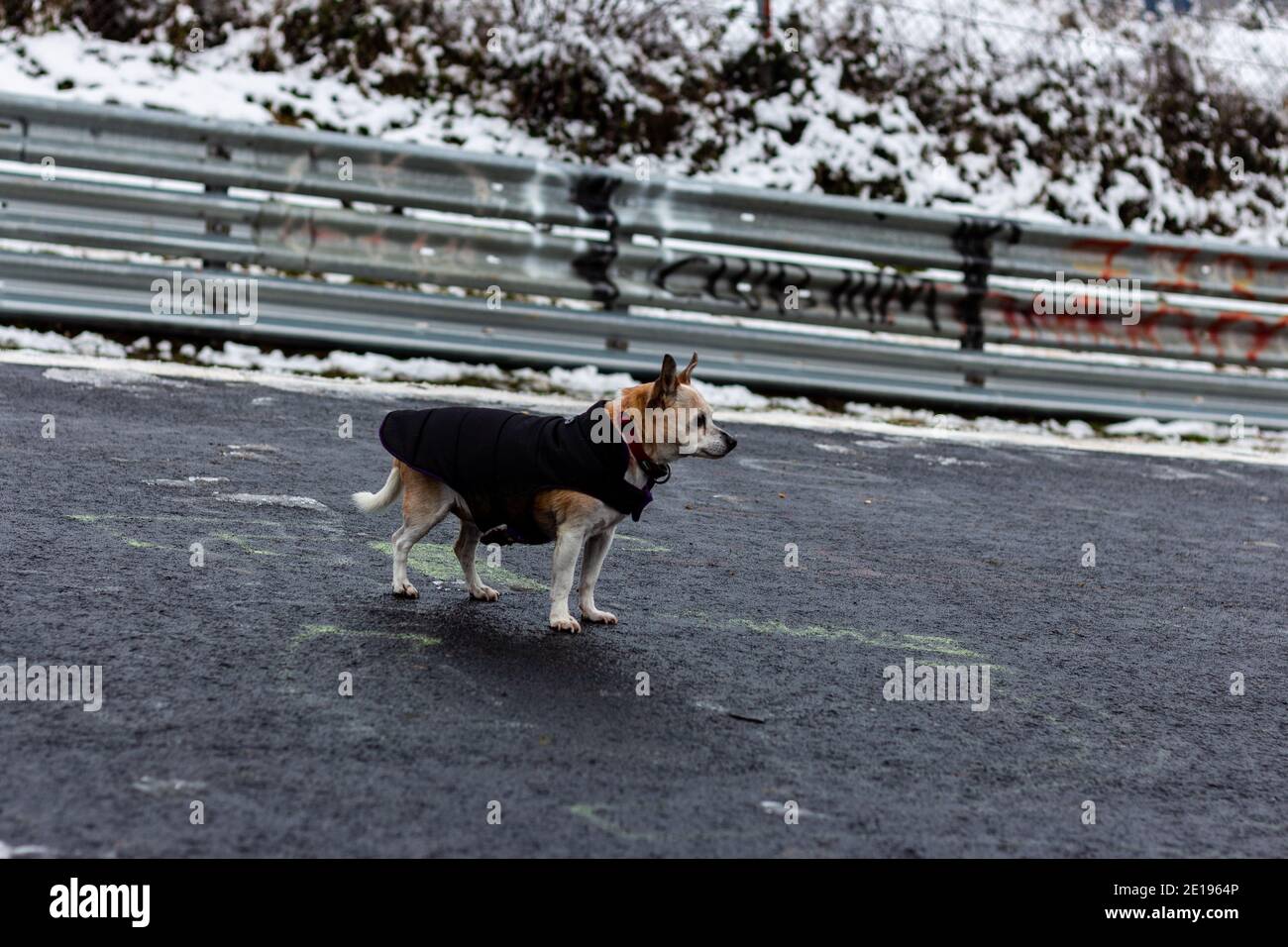 Nürburgring Nordschleife, Rennstrecke, Schnee im Winter Stockfoto