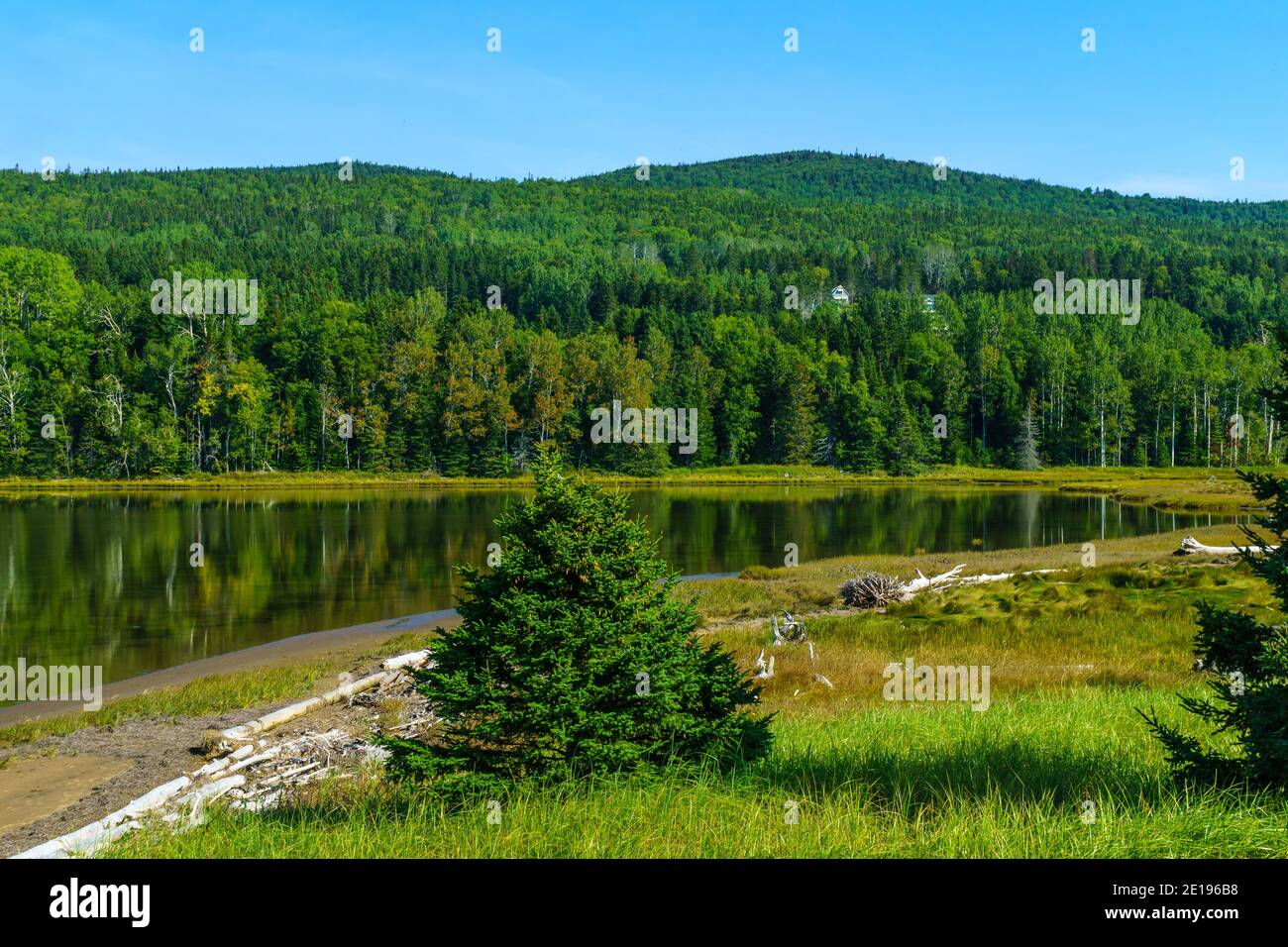 Landschaft aus Wald und Pools in der Penouille Sektor der Forillon National Park, Gaspe Halbinsel, Quebec, Kanada Stockfoto