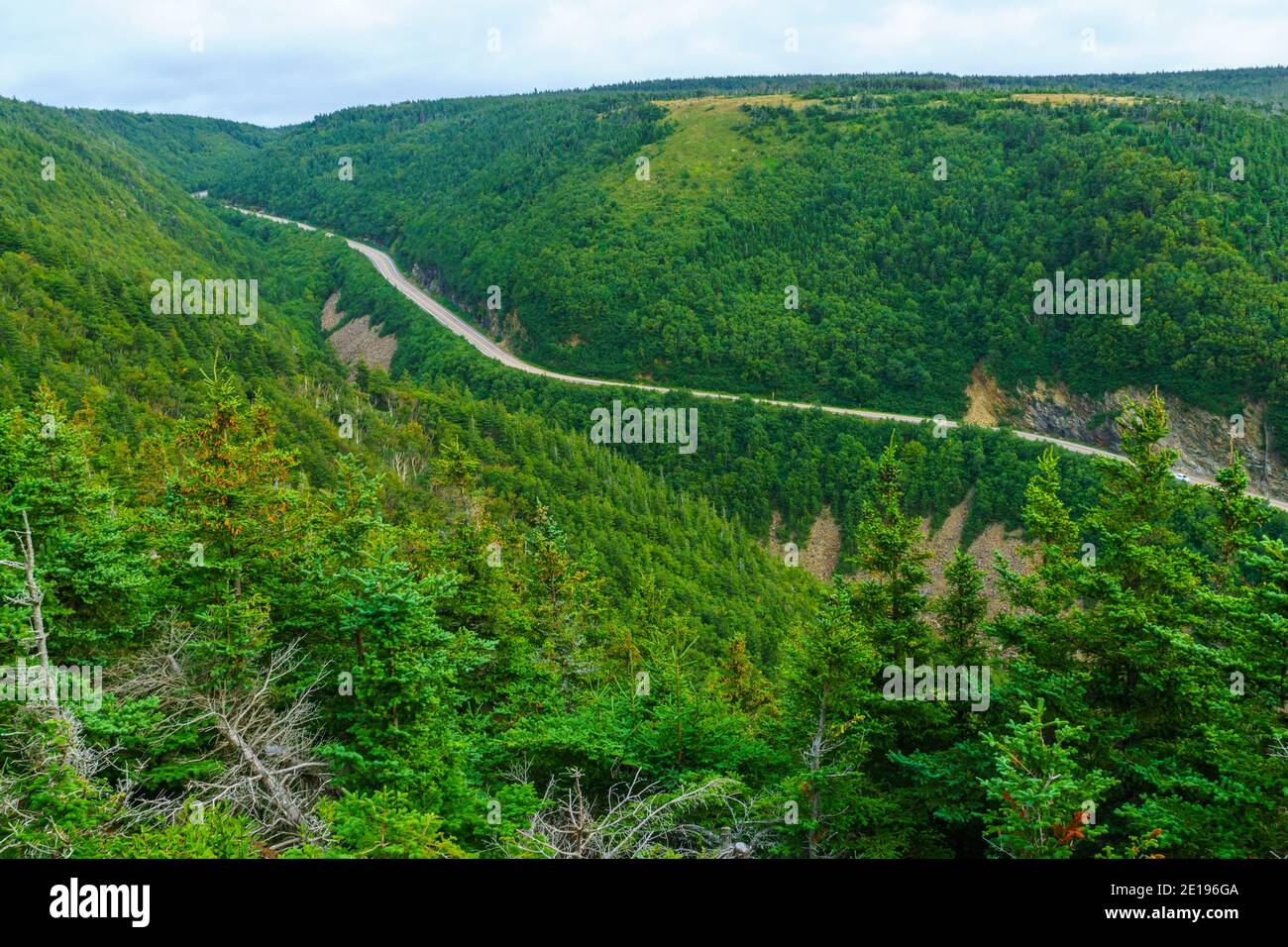 Blick auf die Skyline Trail, im Cape Breton Highlands National Park, Nova Scotia, Kanada Stockfoto