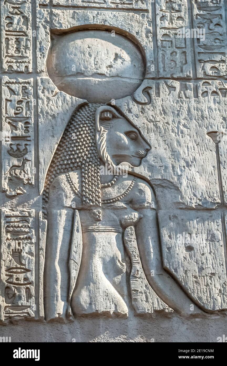 Dies ist die Basreliefsteinschnitzerei des Löwengottes Sekhmet im 180-47 v. Chr. Tempel von Kom Ombo in der Nähe des Nils, der dem Krokodilgott Sobek und dem Falken-obergott Horus gewidmet ist, berühmt für seine verzierten Steinrelieftafeln, Kunstwerke und Hieroglyphen-Geschichten. Stockfoto