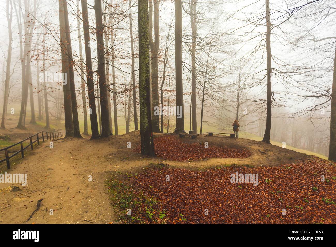 Mädchen mit Kapuzenpullover auf einem mystischen Waldweg begegnet. Foto aufgenommen am 30. November 2019 in den alten Wäldern um Sarmizegetuza Regia (die ex Stockfoto