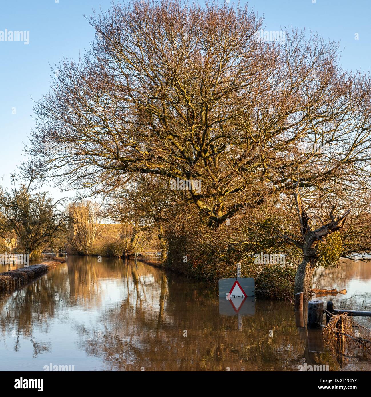 Überflutete Felder mit Reflexionen Stockfoto