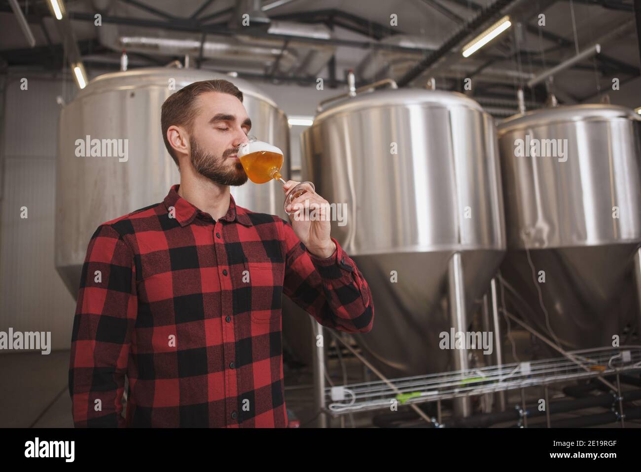 Bärtiger Brauer, der in der Mikrobrauerei frisch gebrautes Bier probiert, Metalltanks im Hintergrund Stockfoto