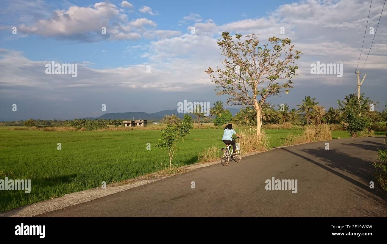 Eine Landstraße in Kerala, Indien Stockfoto
