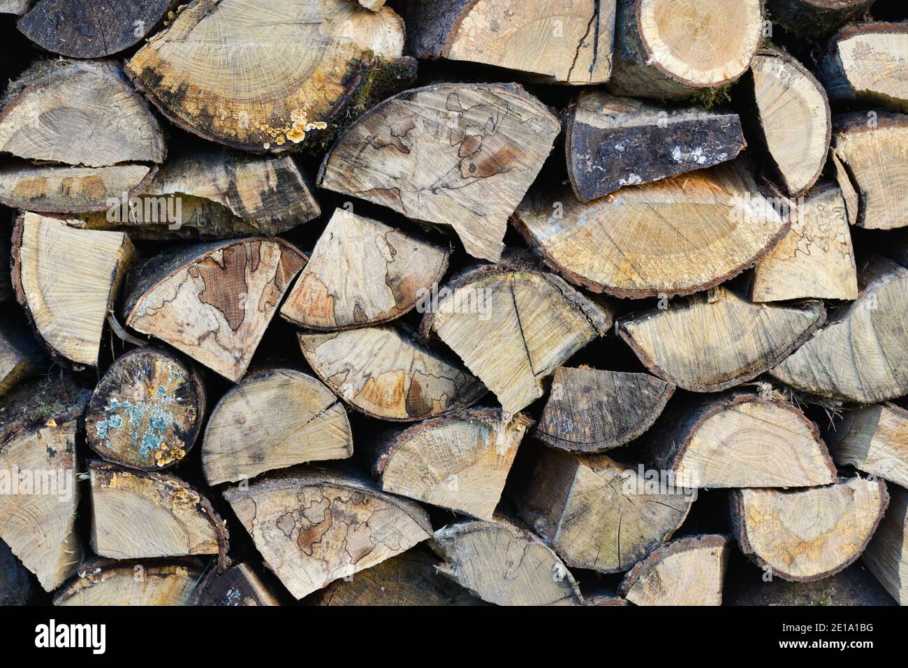 Ein Nahaufnahme Brennholz Stapel Hintergrund befindet sich im Freien an sonnigen Tag Stockfoto