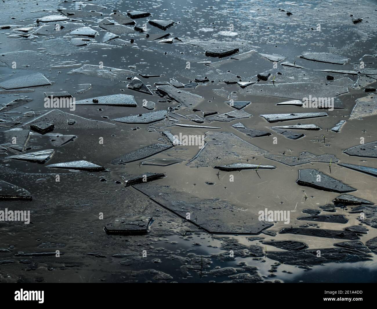 Gebrochenes Eis auf Pfütze, England im Winter. Abstraktes Muster. Stockfoto