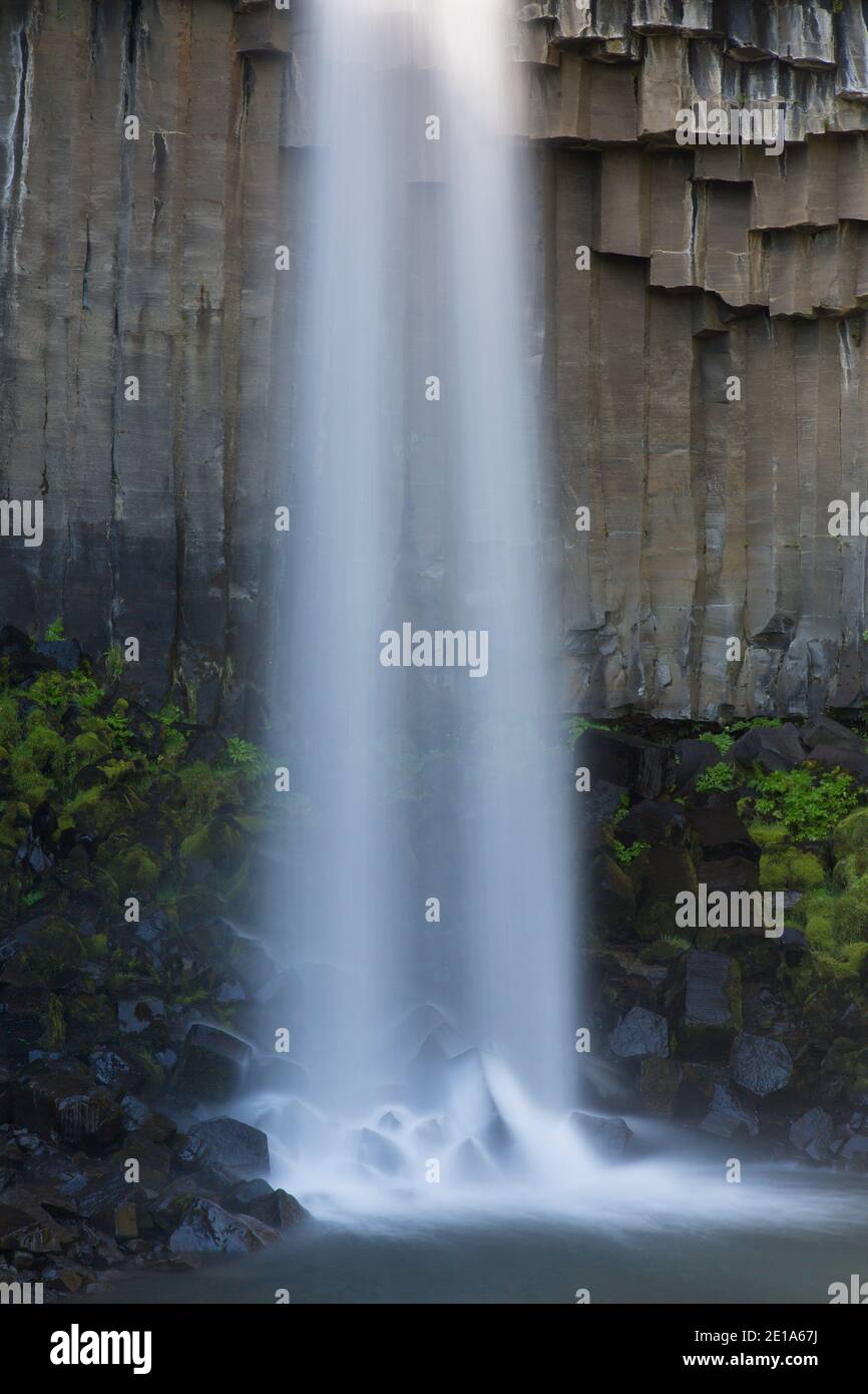 Basaltsäulen und Svartifoss / Black Waterfall in Skaftafell in Der Vatnajökull Nationalpark im Südosten Islands Stockfoto