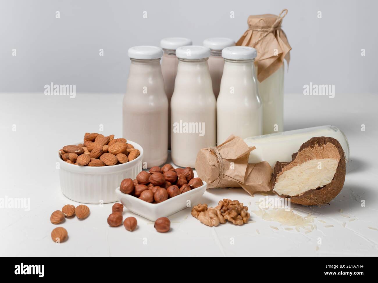Eine Vielzahl von laktosefreier Milch aus Nüssen und Körnern in Glasflaschen. Veganes Konzept mit Haselnuss, Hafer, Kokosnuss, Mandel, Walnuss Stockfoto