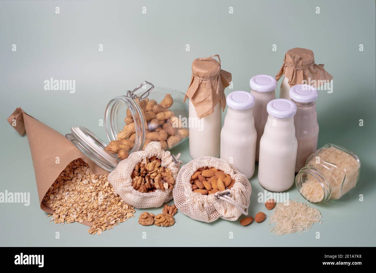 Eine Vielzahl von laktosefreier Milch aus Nüssen und Körnern in Glasflaschen. Veganes Konzept mit Haselnuss, Hafer, Kokosnuss, Mandel, Walnuss Stockfoto