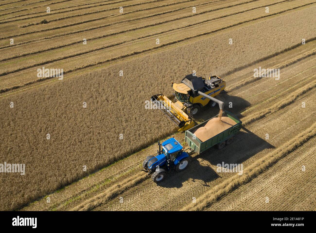 Luftaufnahme der Gerstenernte, Angus, Schottland. Stockfoto