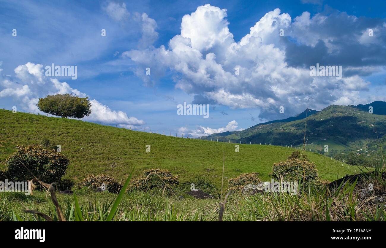 Eine wunderschöne Landschaft mit einem einzigartigen Baum auf dem Hügel mit einem wunderschönen blauen Himmel Hintergrund viel Baumwolle wie Wolken, Almos Stockfoto