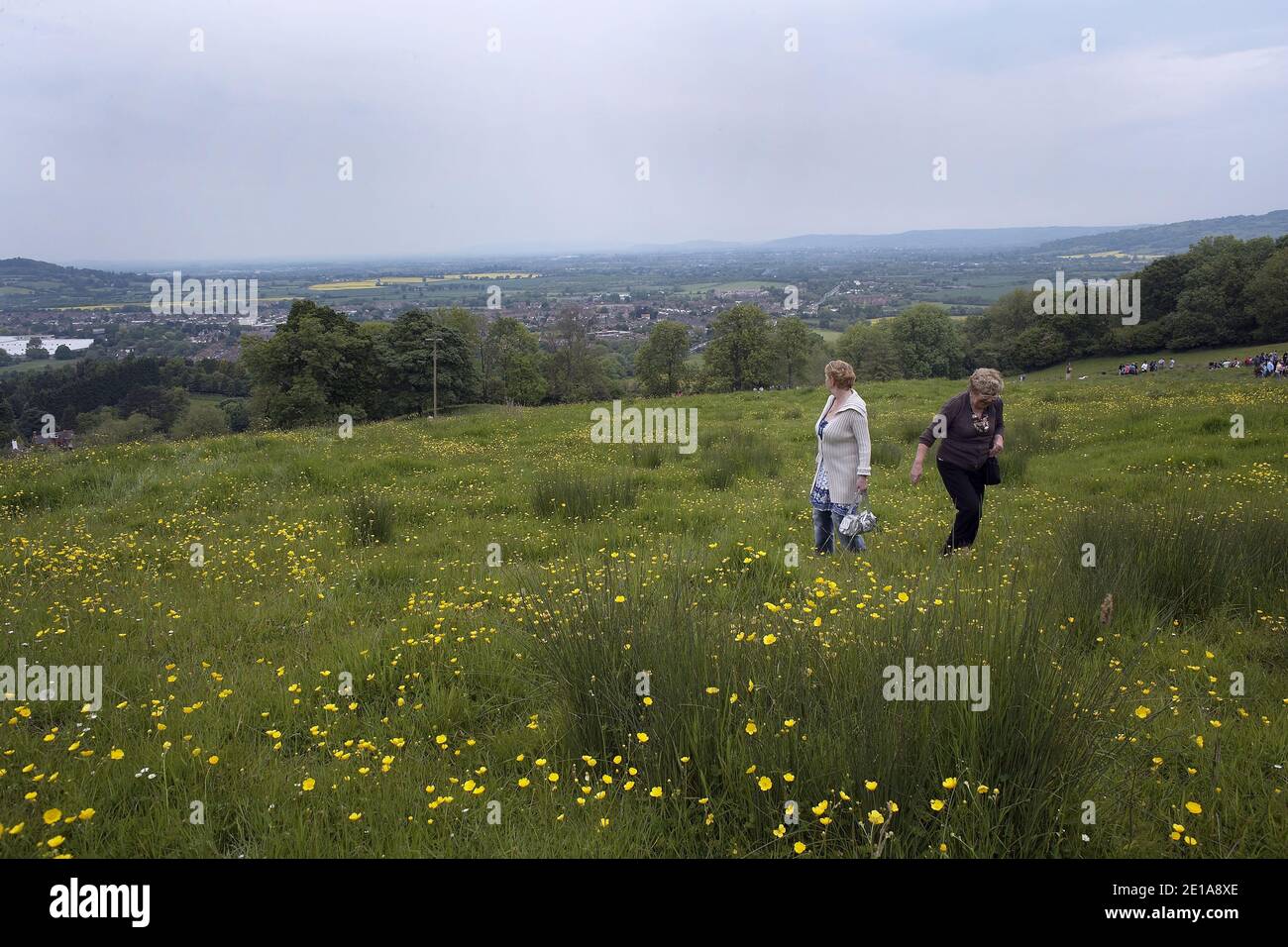 GROSSBRITANNIEN / England /Gloucestershire/ Panoramablick vom Cooper's Hill Stockfoto