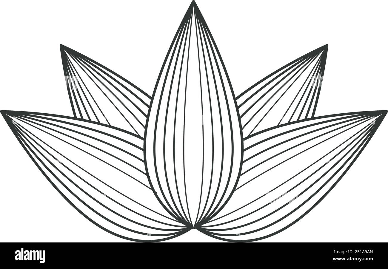 lotus Blume gezeichnet isoliert Symbol Stock Vektor