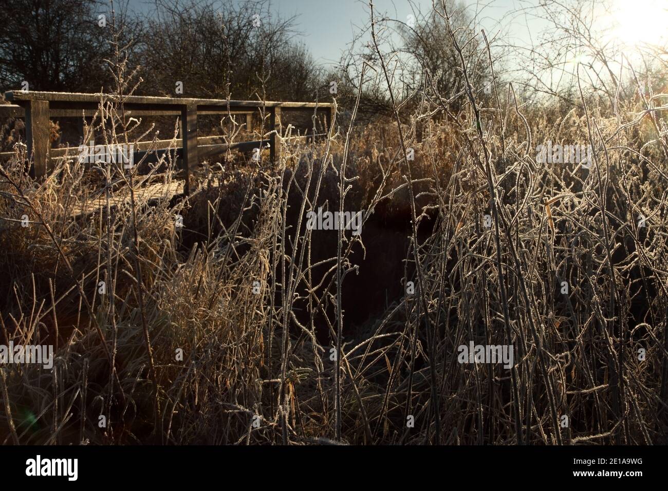 Kleine hölzerne Fußgängerbrücke über landwirtschaftlichen Entwässerungsgraben nördlich von Kirton in Lindsey, North Lincolnshire, Großbritannien. Stockfoto