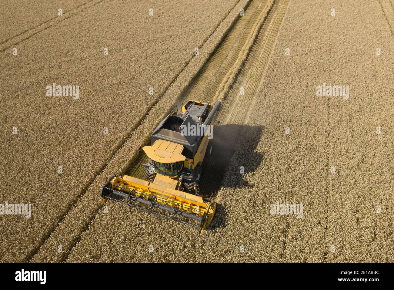 Luftaufnahme der Gerstenernte, Angus, Schottland. Stockfoto