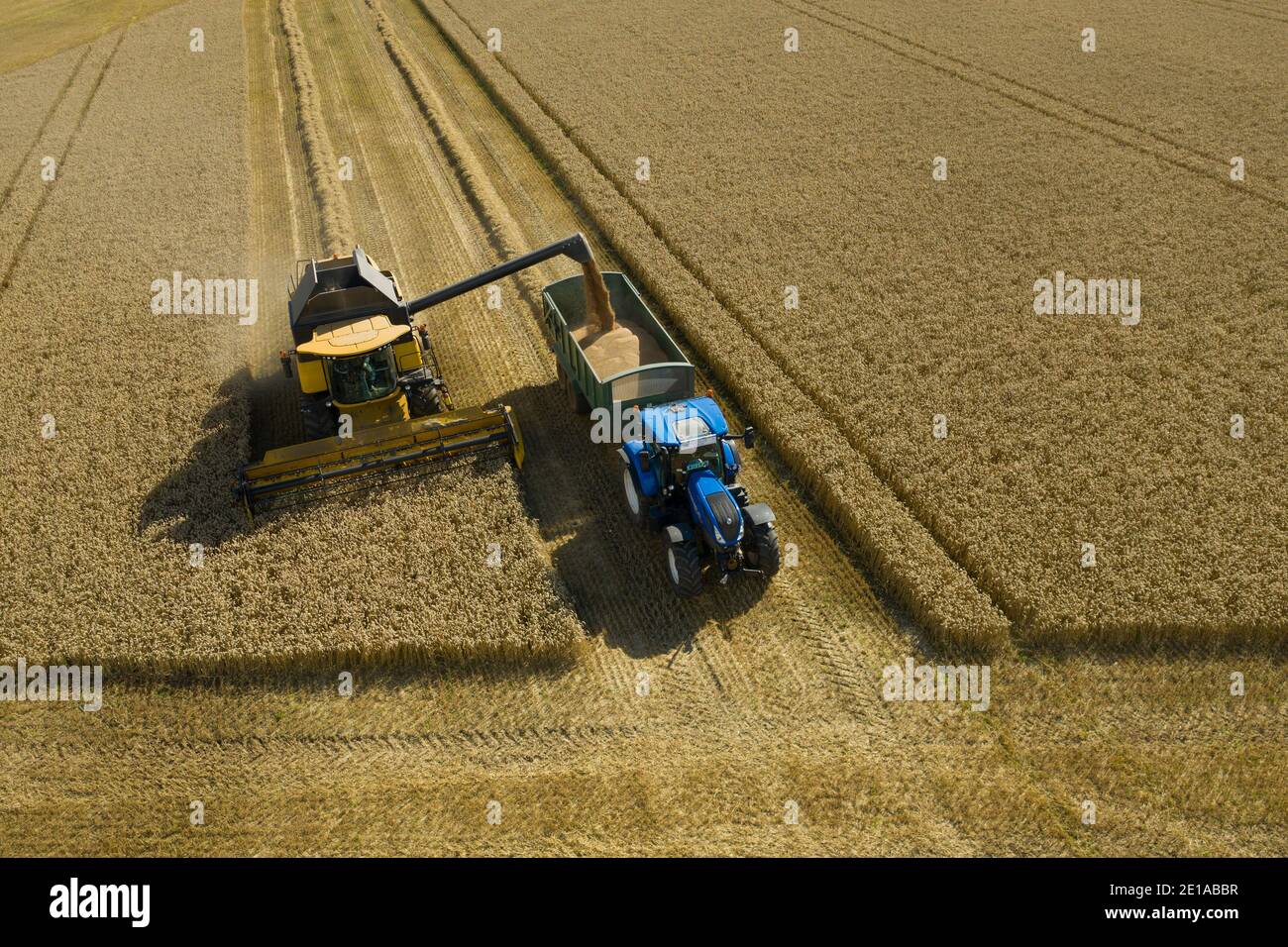 Luftaufnahme der Gerstenernte, Angus, Schottland. Stockfoto