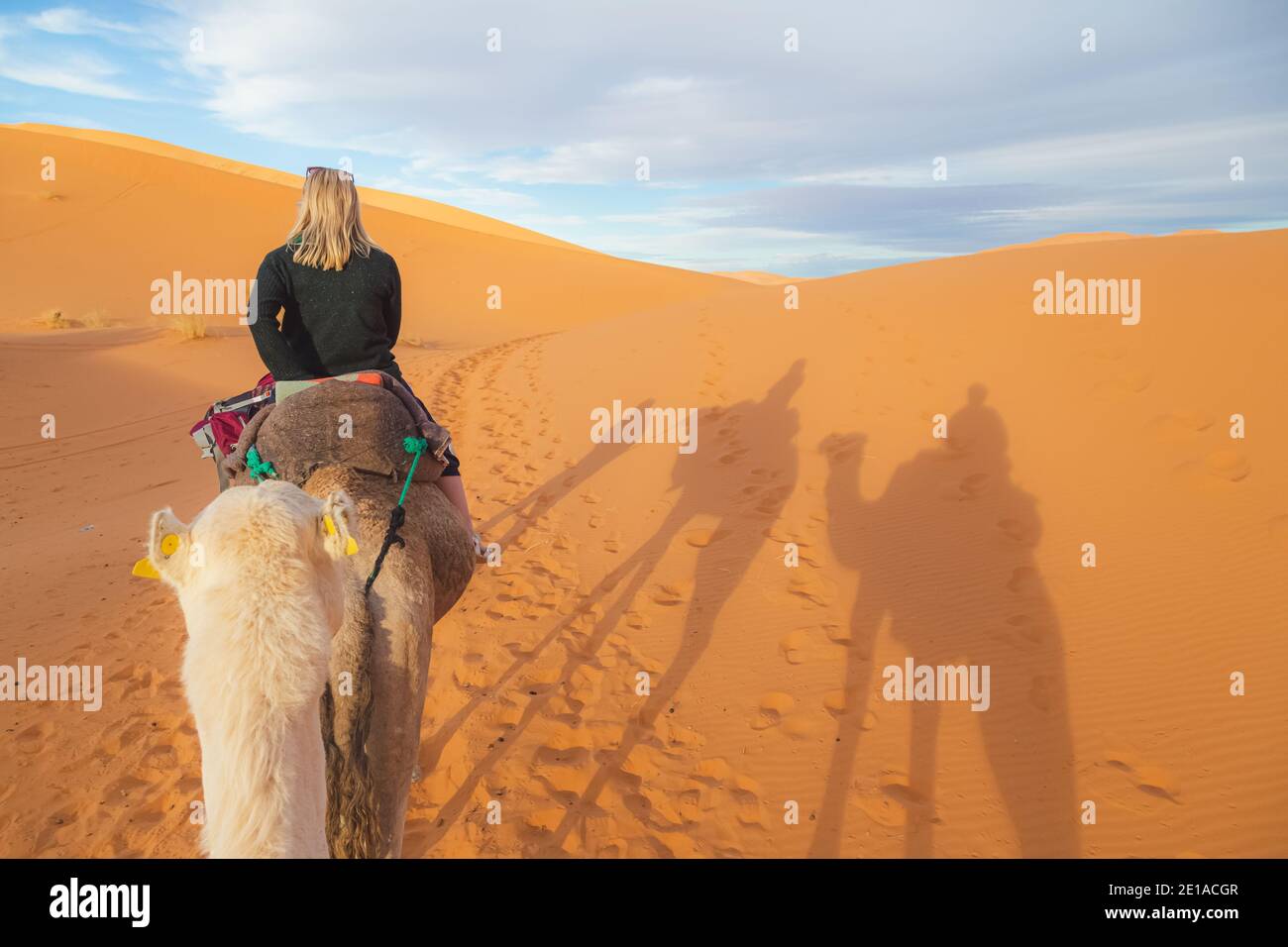 Kamelback-Ausflug entlang der Wüstensanddünen von Erg Chebbi in der Nähe des Dorfes Merzouga im Südosten Marokkos. Stockfoto