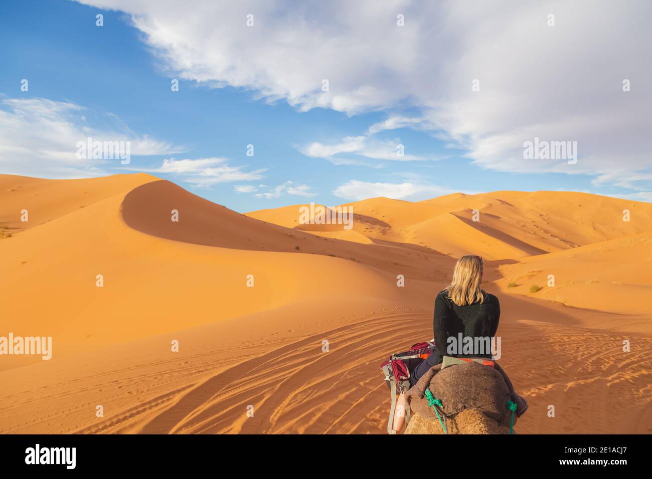 Kamelback-Ausflug entlang der Wüstensanddünen von Erg Chebbi in der Nähe des Dorfes Merzouga im Südosten Marokkos. Stockfoto