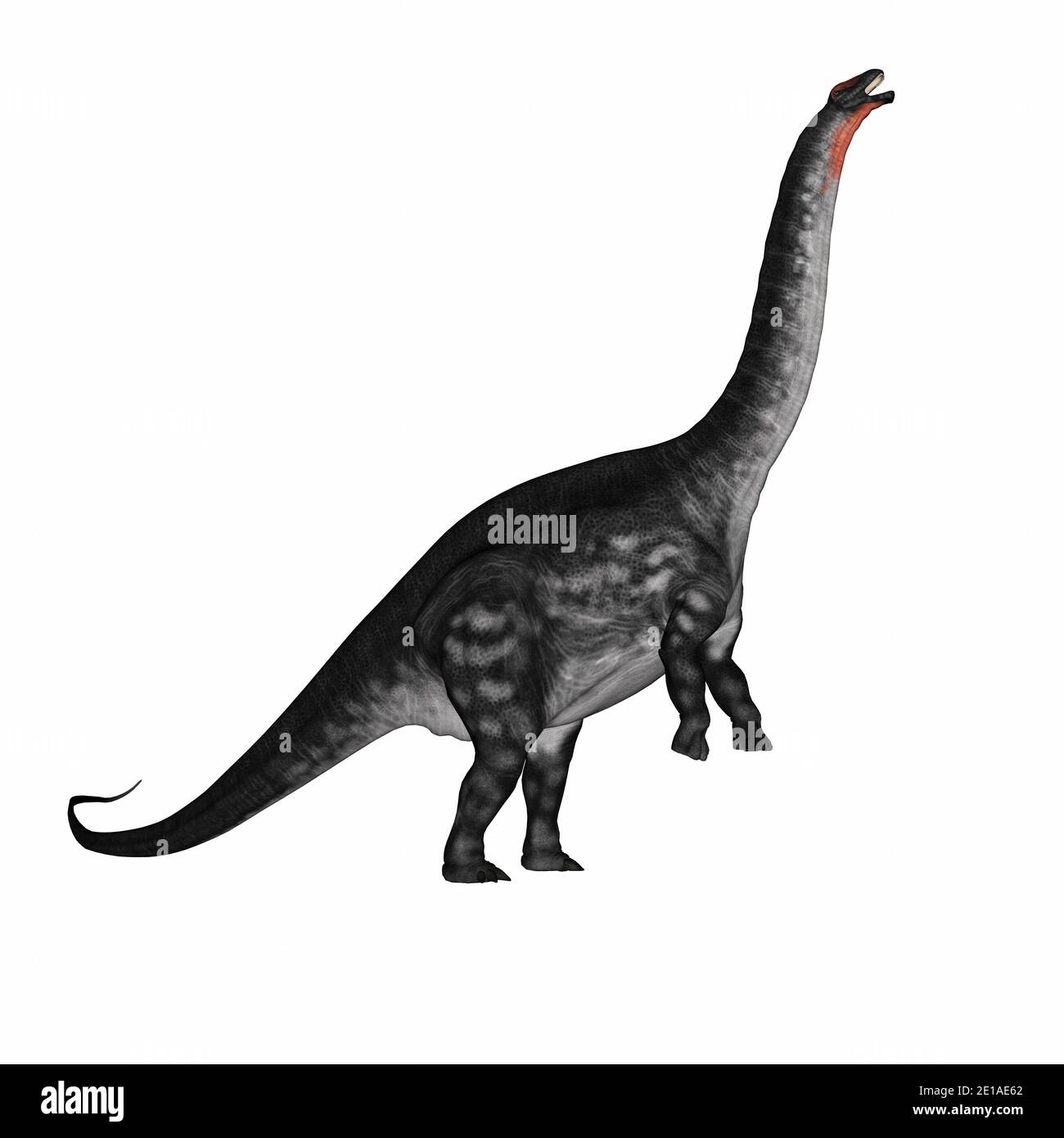 Apatosaurus Dinosaurier aufstehen - 3D Render Stockfoto