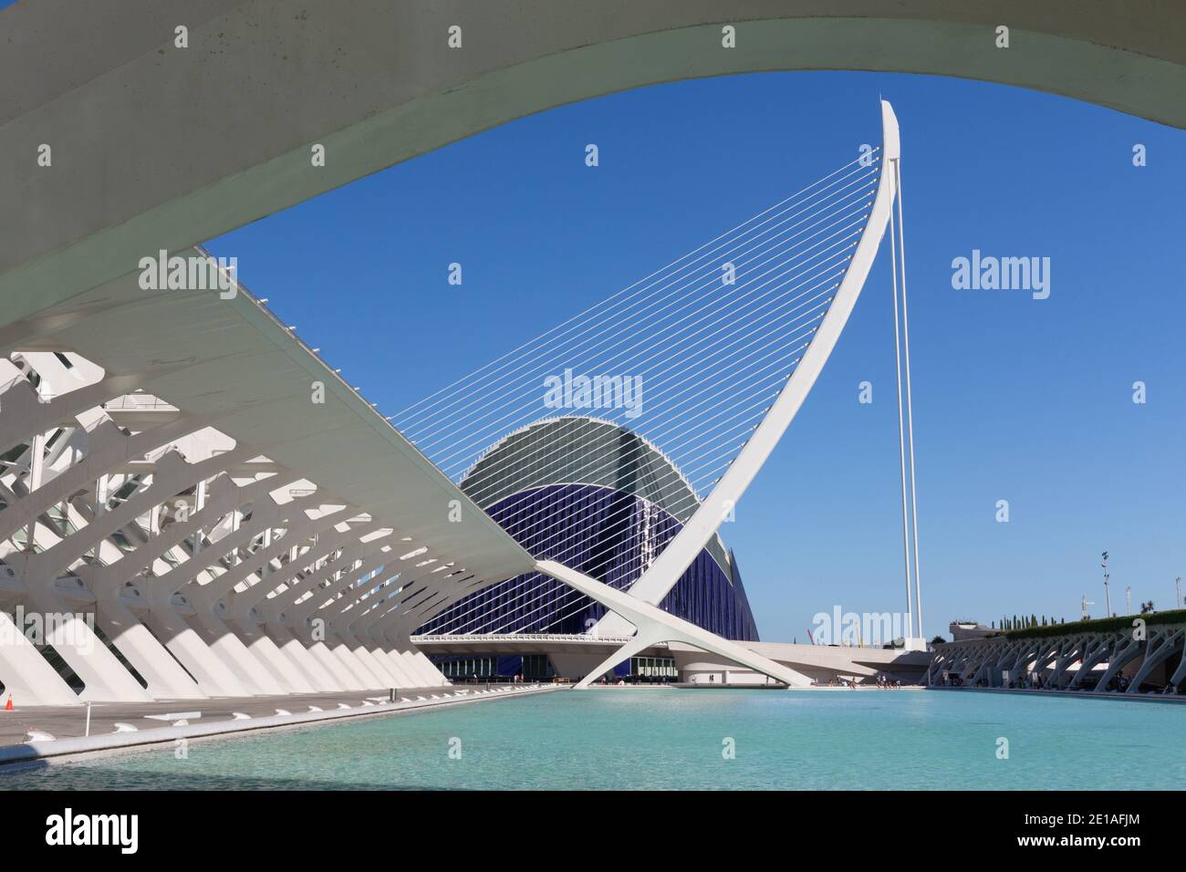 Das Museo de las Ciencias Príncipe Felipe oder das Wissenschaftsmuseum Prinz Philip, der Pont de l'Assut de l'Or und die Agora der Stadt der Künste und Wissenschaft Stockfoto Das Museo de las Ciencias Príncipe Felipe oder das Wissenschaftsmuseum Prinz Philip, der Pont de l'Assut de l'Or und die Agora der Stadt der Künste und Wissenschaft Stockfoto