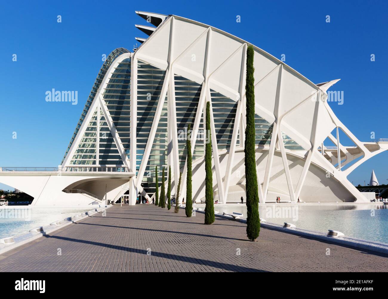 Museo de las Ciencias Príncipe Felipe oder Prinz Philip Wissenschaft Museum der Stadt der Künste und Wissenschaften oder Ciudad De las Artes y las Ciencias entworfen Stockfoto