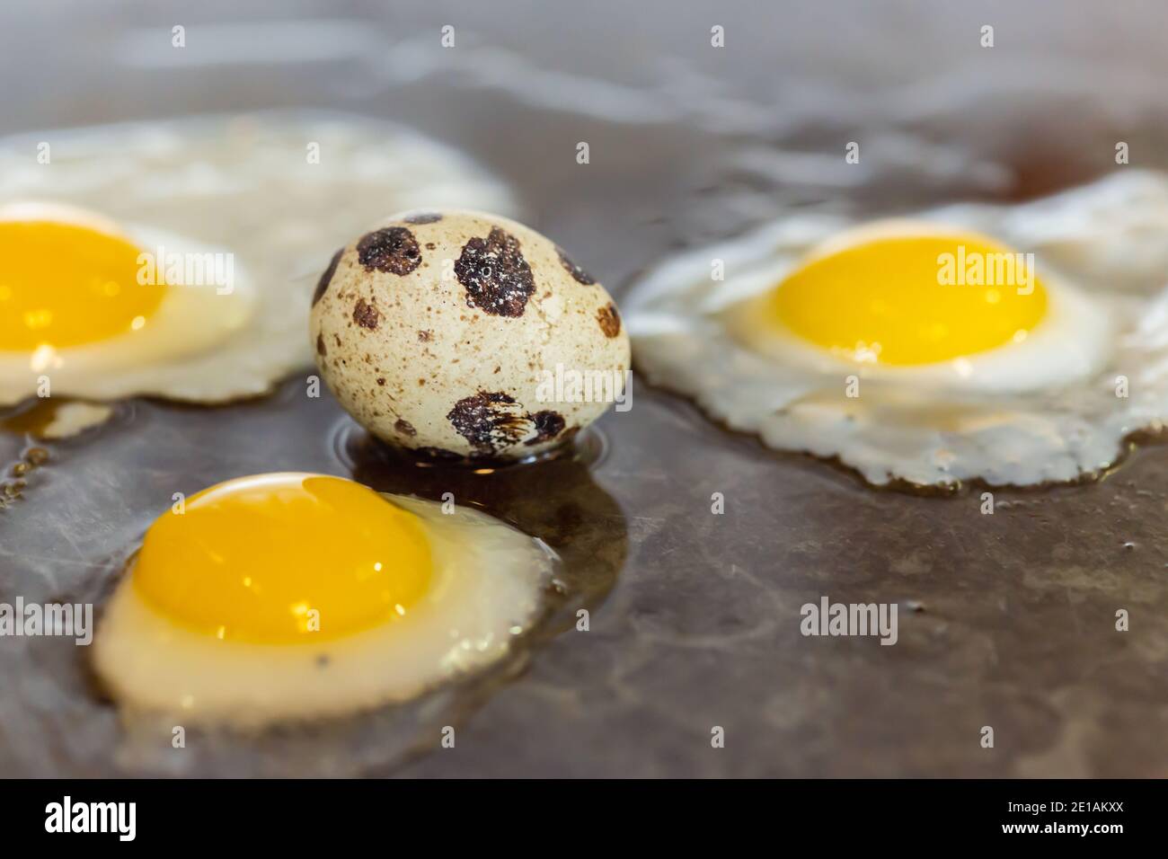 Nahaufnahme von mehreren eiweißreichen Wachteleiern, die gebraten werden, mit einem nicht gebratenen Ei, das in Öl auf einer Bratpfanne gelegt wird Stockfoto