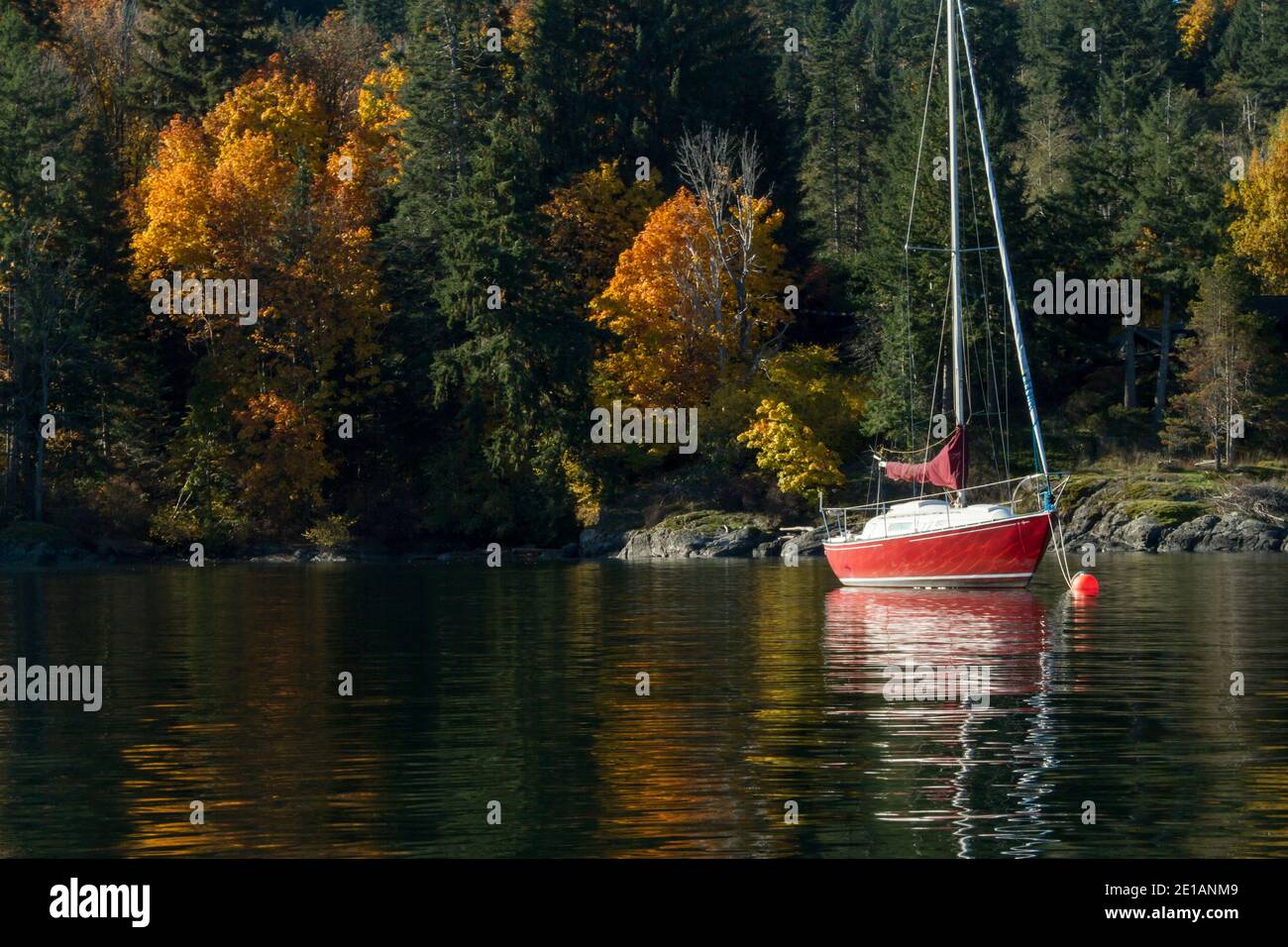 Dieses rote Segelboot im C & C-Design liegt an einem sonnigen Herbsttag in Heriot Bay auf Quadra Island, BC, Kanada. Raum für Worte, Hintergrund. Stockfoto