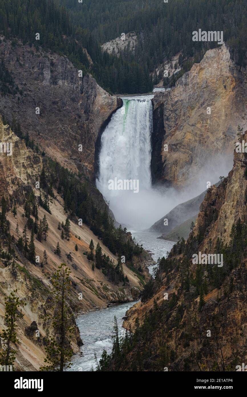 Yellowstone Falls Stockfoto