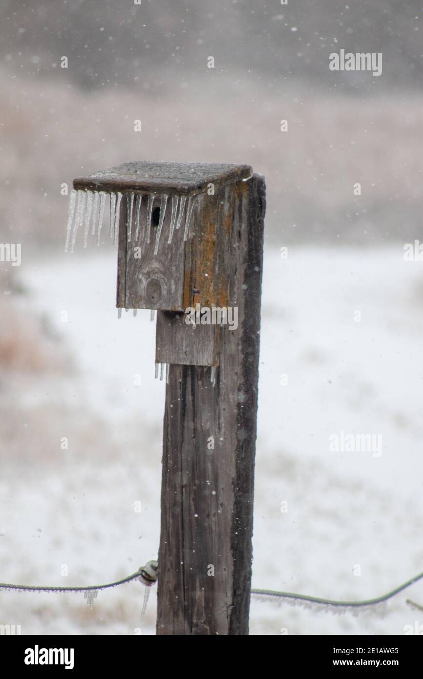 Eiszapfen bedeckt Vogelhaus auf Zaunpfosten im November. Hochwertige Fotos Stockfoto