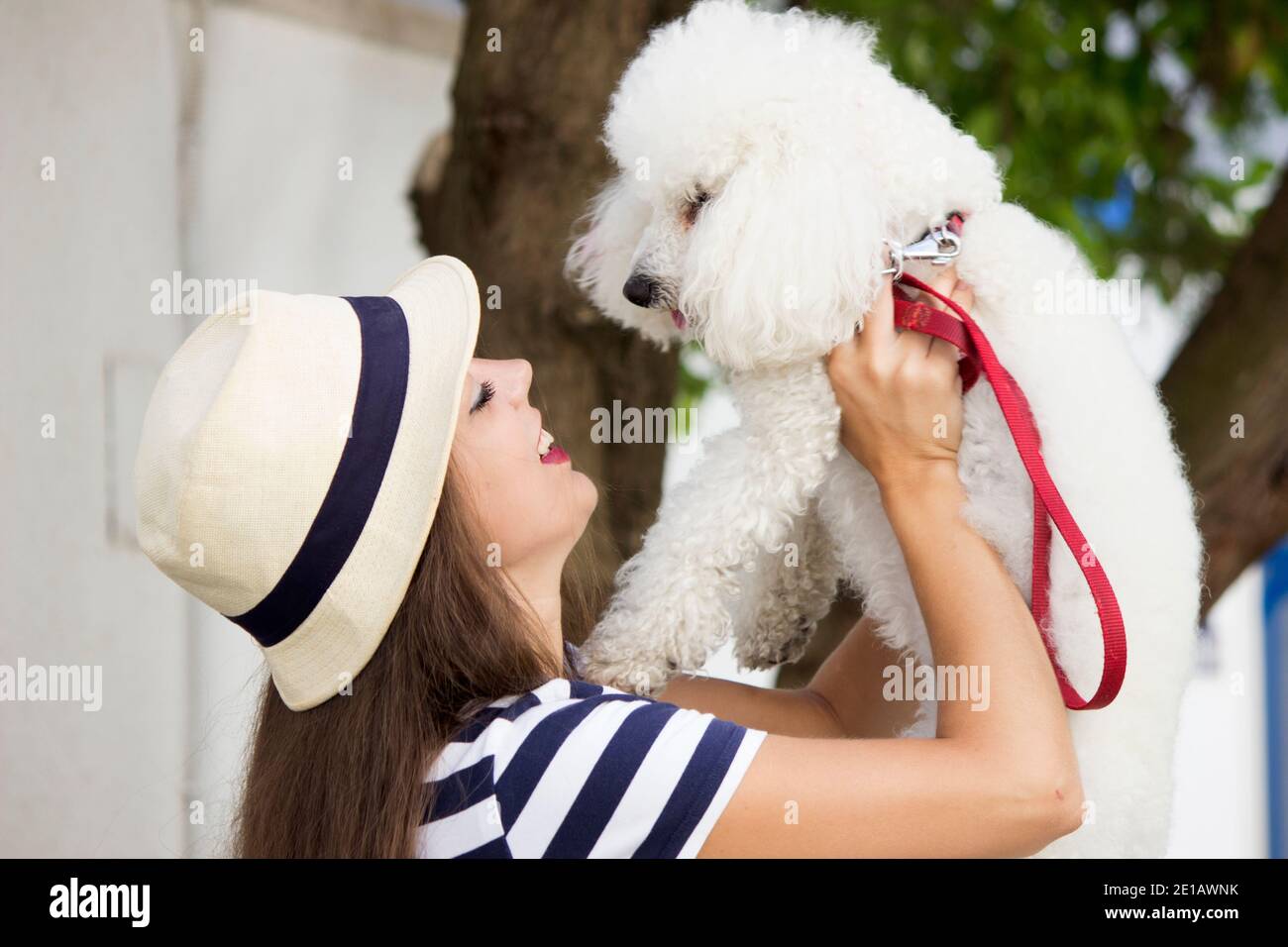 Mädchen Hund Pudel niedlich Stockfoto