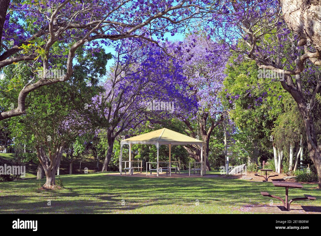 Siehe Park mit Pergola und Jacaranda Bäumen, Grafton, NSW, Australien Stockfoto