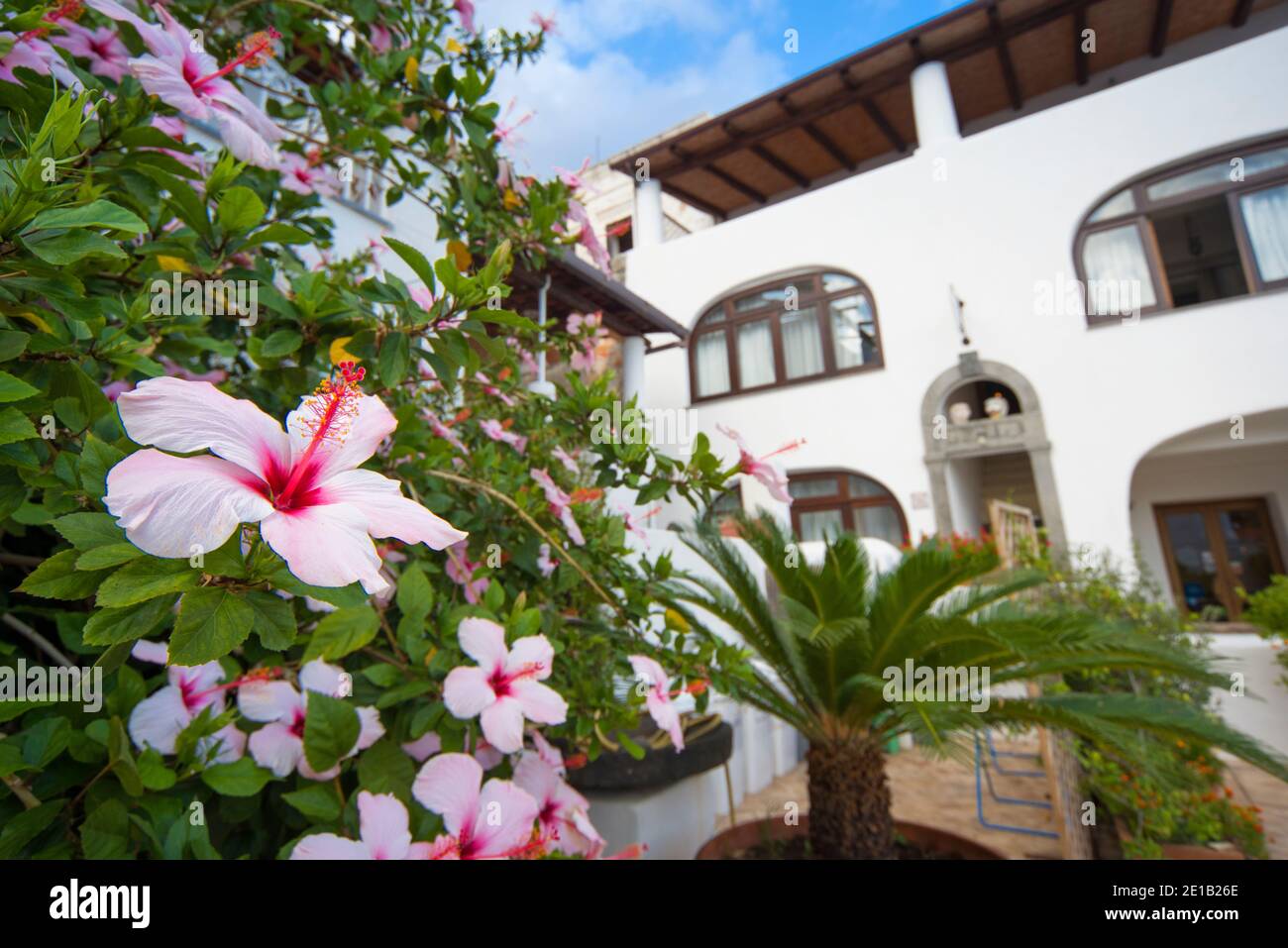 Salina, Äolische Inseln (Isole Eolie), Sizilien, Italien Stockfoto