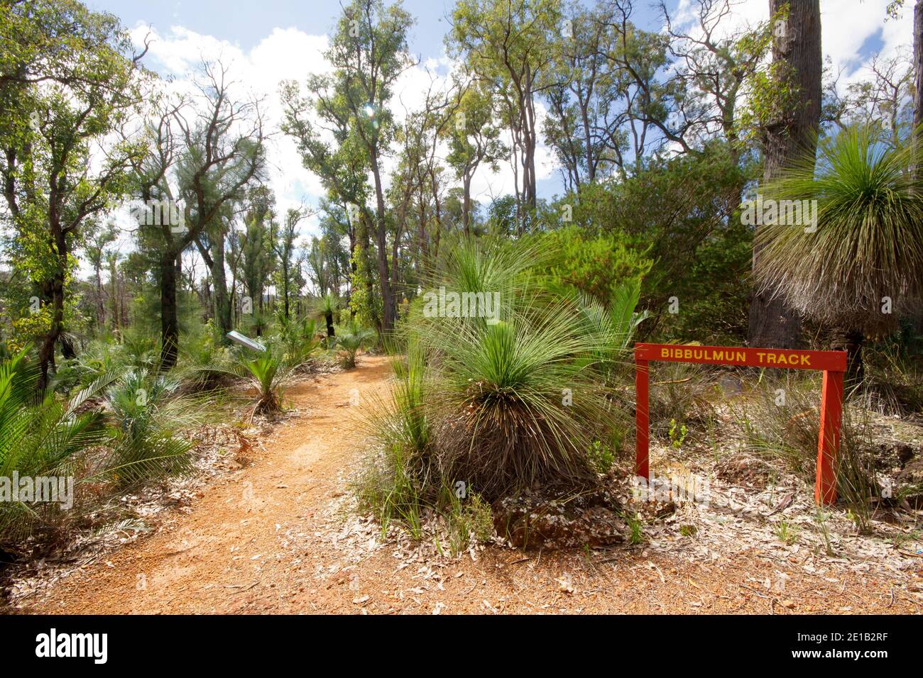 Der Bibbulmun Track Wanderweg in Western Australia durch Natur Buschland Stockfoto