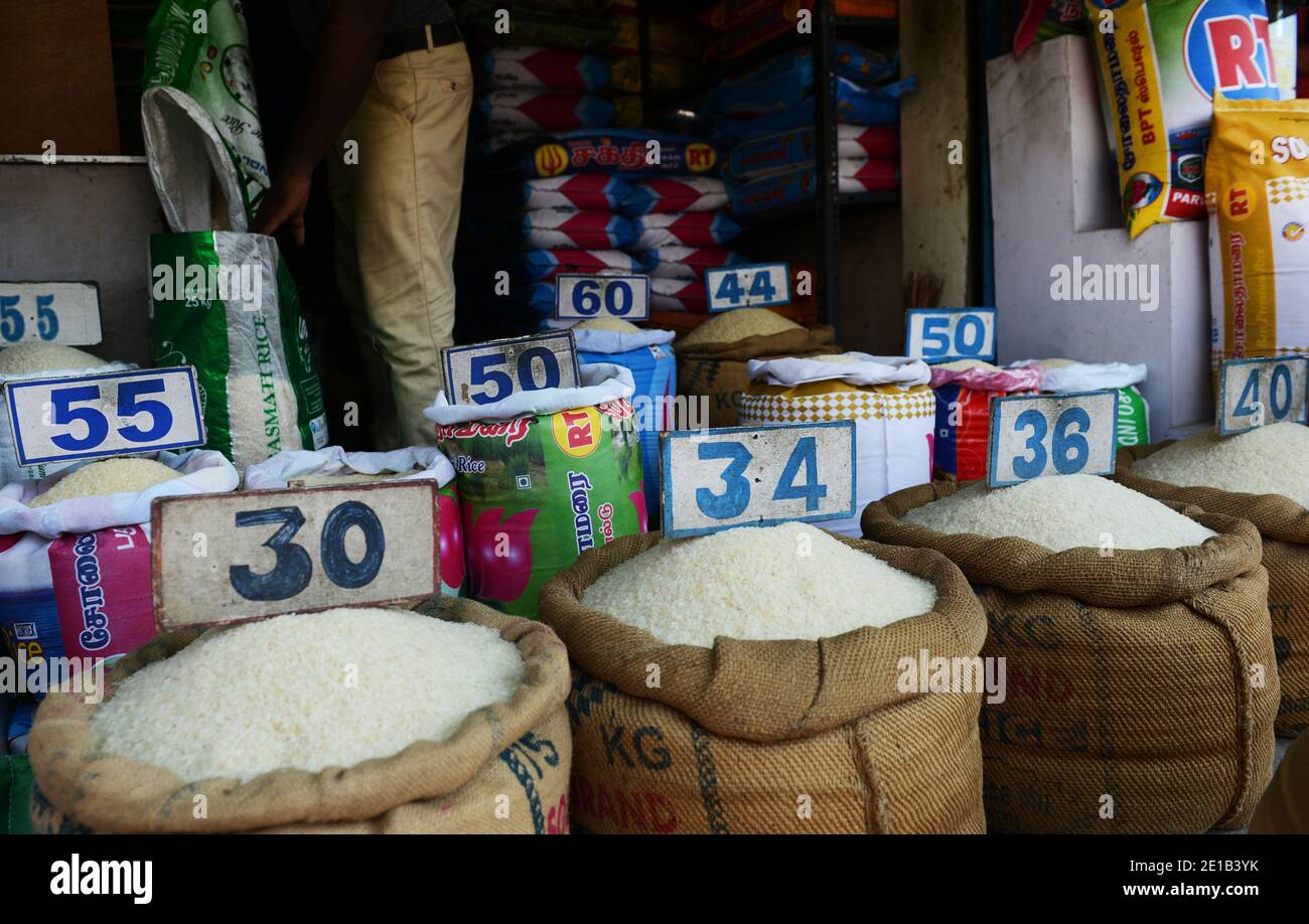 Verschiedene Reissorten in einem Reisshop in Mahabalipuram, Indien verkauft. Stockfoto