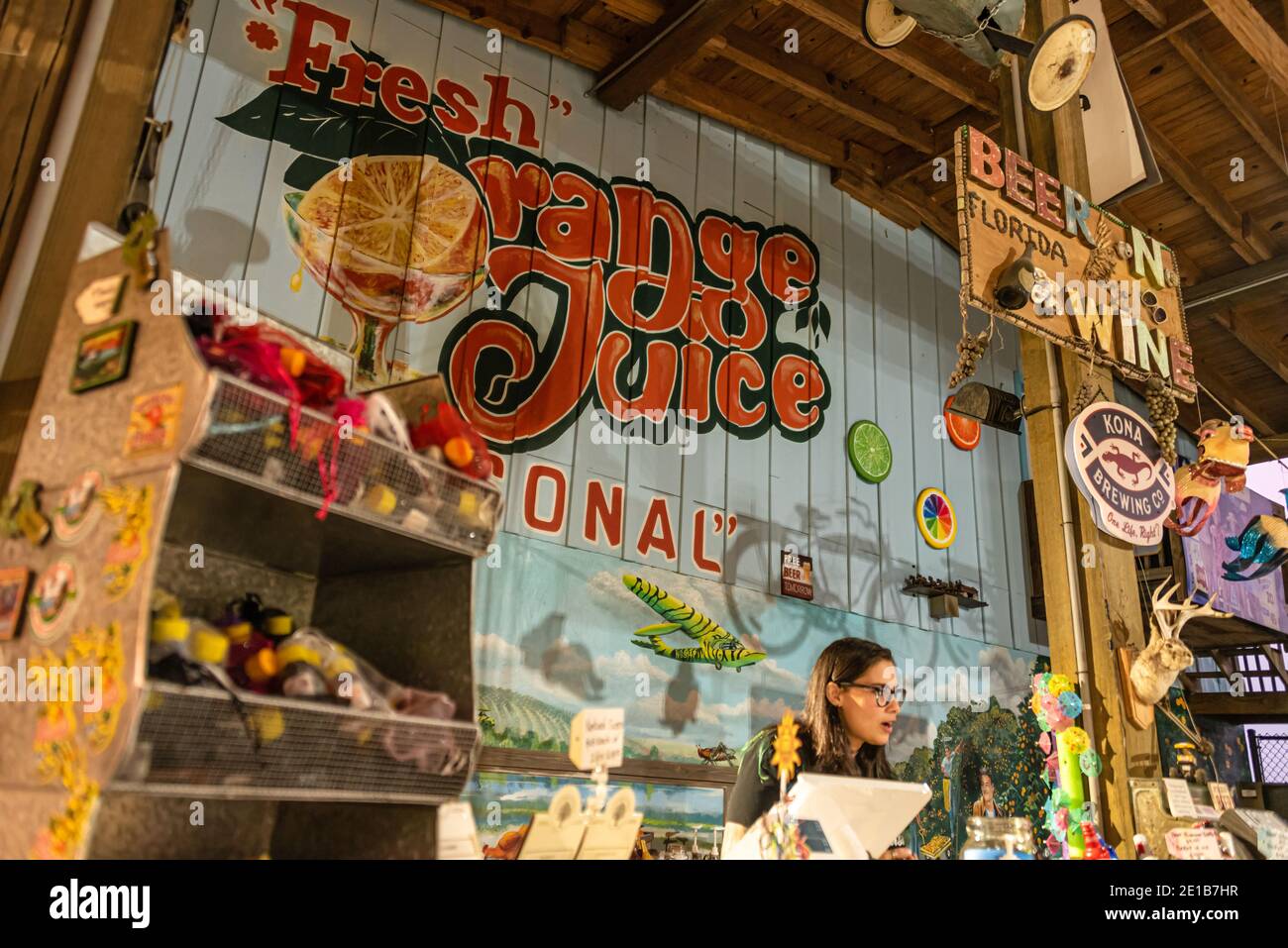 Frisches Orangensaft Wandgemälde im Showcase von Citrus Roadside Attraction, bietet U-Pick Zitrushaine, in Clermont, Florida, in der Nähe von Orlando. (USA) Stockfoto