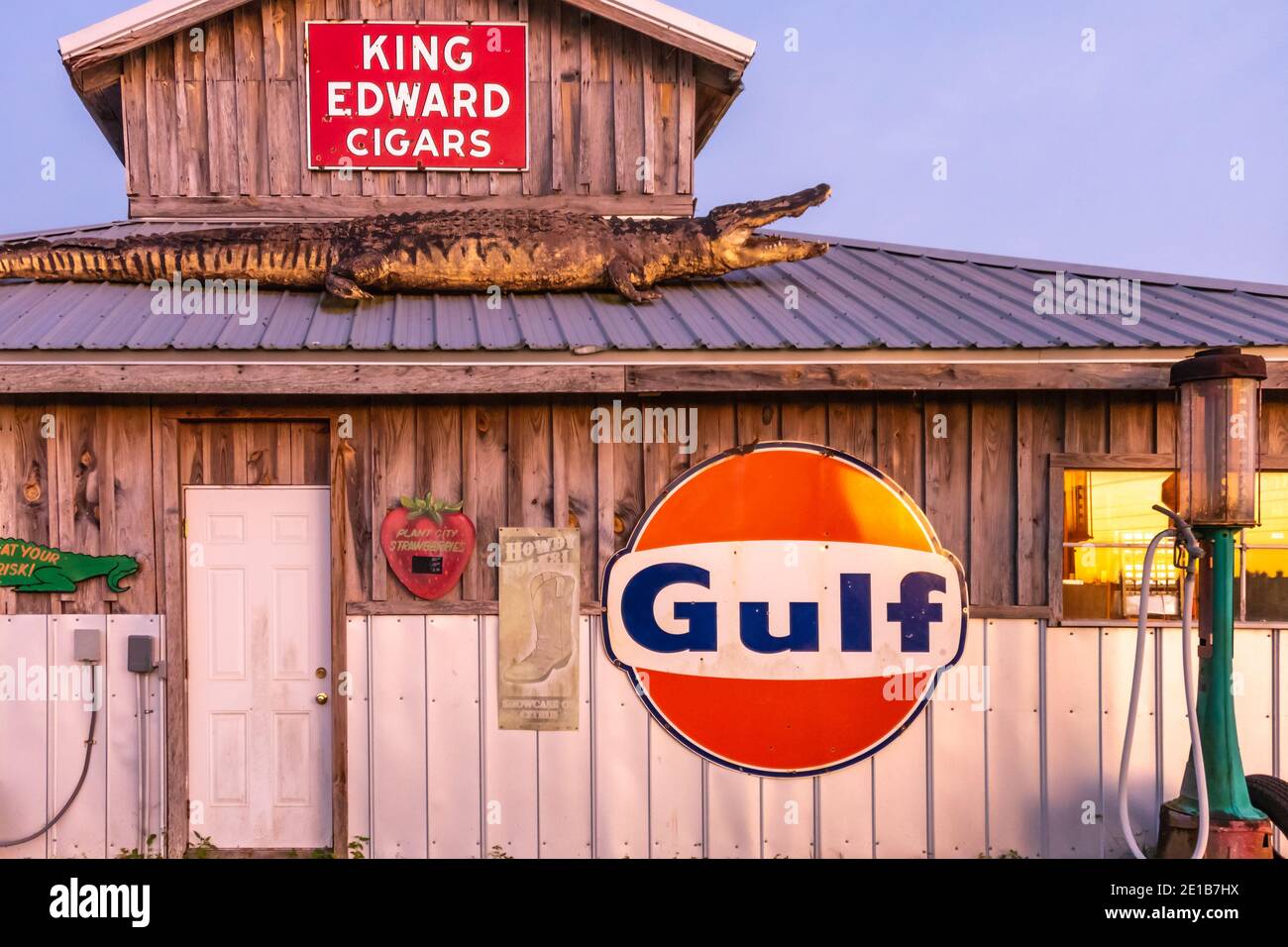 Vitrine von Citrus, einer Vintage Florida Straßenattraktion und Zitrushain in Clermont, Florida. (USA) Stockfoto