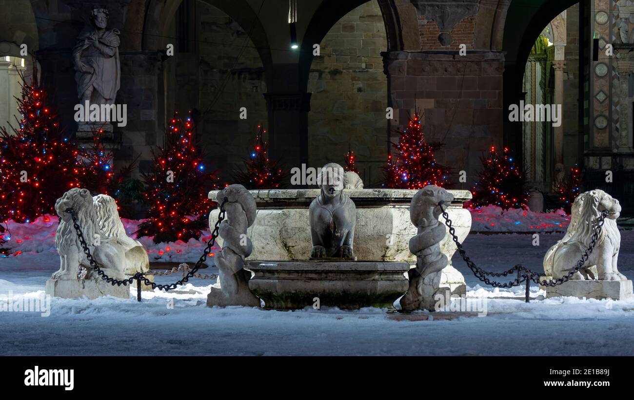 Bergamo, Italien. Der Hauptplatz der Altstadt. Landschaft am historischen Brunnen nach einem Schneefall. Weihnachtszeit. Kleine Kiefern mit Lichtern Stockfoto