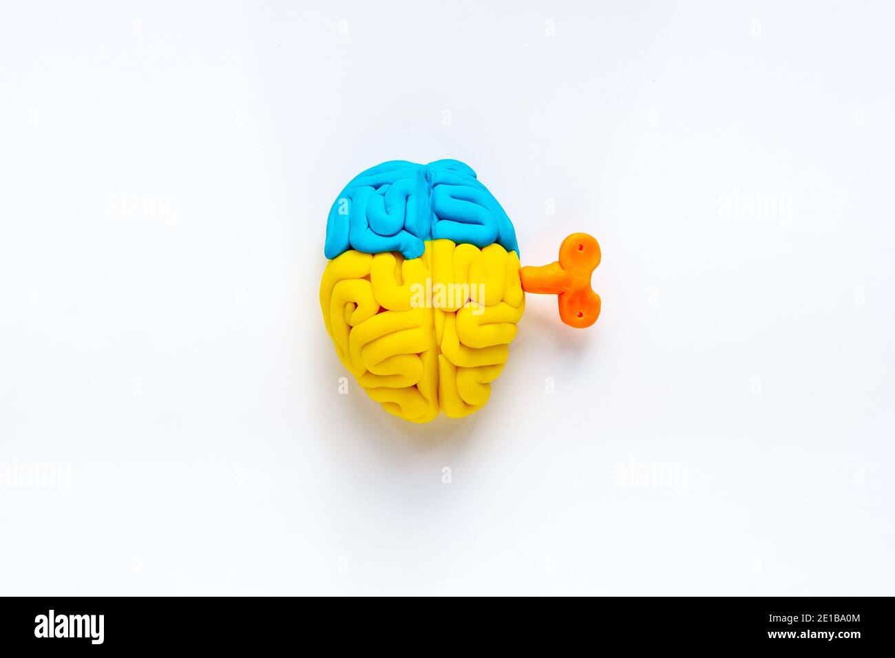 Ideenkonzept. Arbeit des Gehirns - Modell aus buntem Ton, Draufsicht Stockfoto