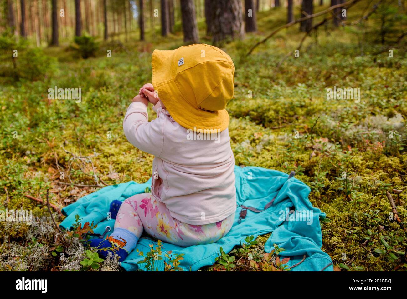 GULBENE, LETTLAND. August 2020. Baby trägt gelben Hut sitzt auf Pullover, während die Eltern Beeren pflücken im Wald. Stockfoto