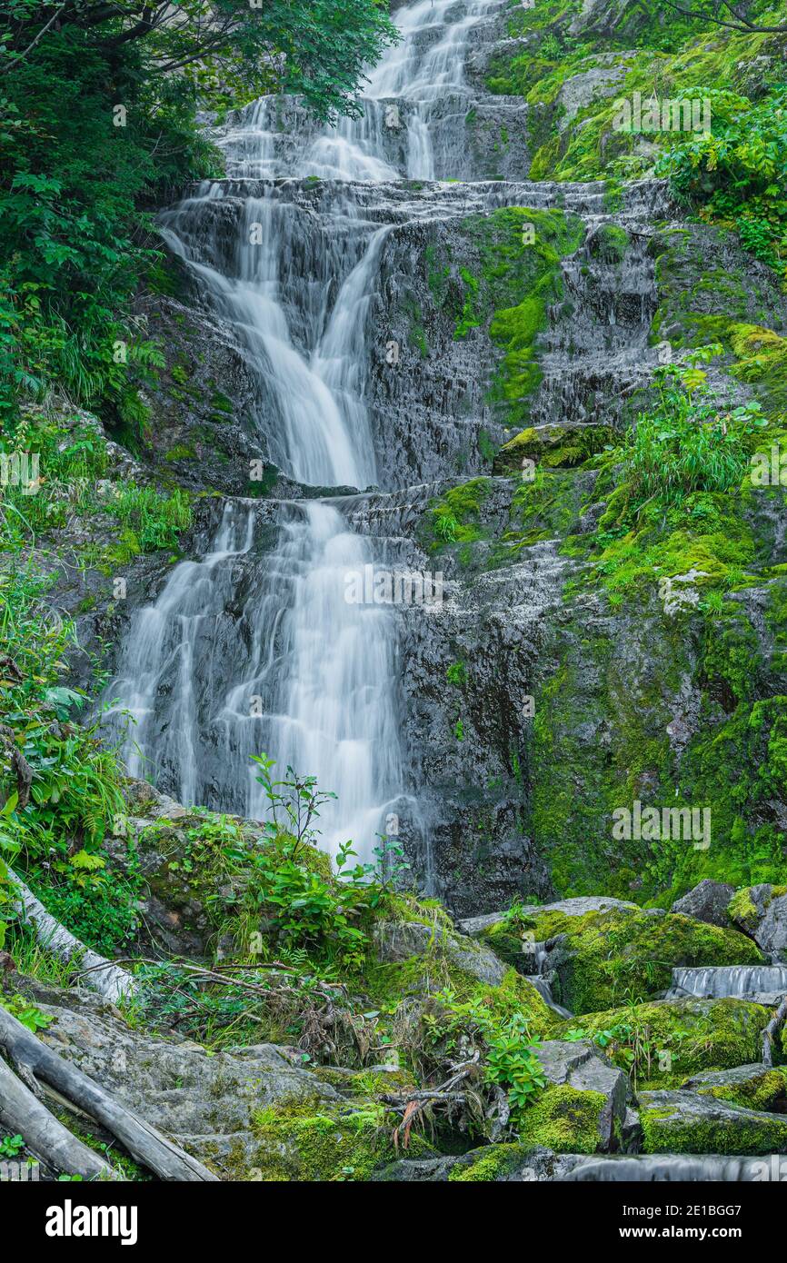 Wasserfall zwischen grünem Gras. Bergbach auf moosigen Felsbrocken im Sommer Regenwald. Alpine Kaskade der schnellen Strömung Stockfoto