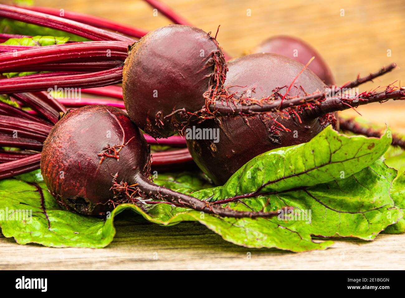 Rote Bete Knollen mit grünen Blättern auf Holztisch. Zubereitung von frischem Salat. Frisches Gemüse für vegetarische Küche. Rüben auf dem Straßenmarkt. Stockfoto