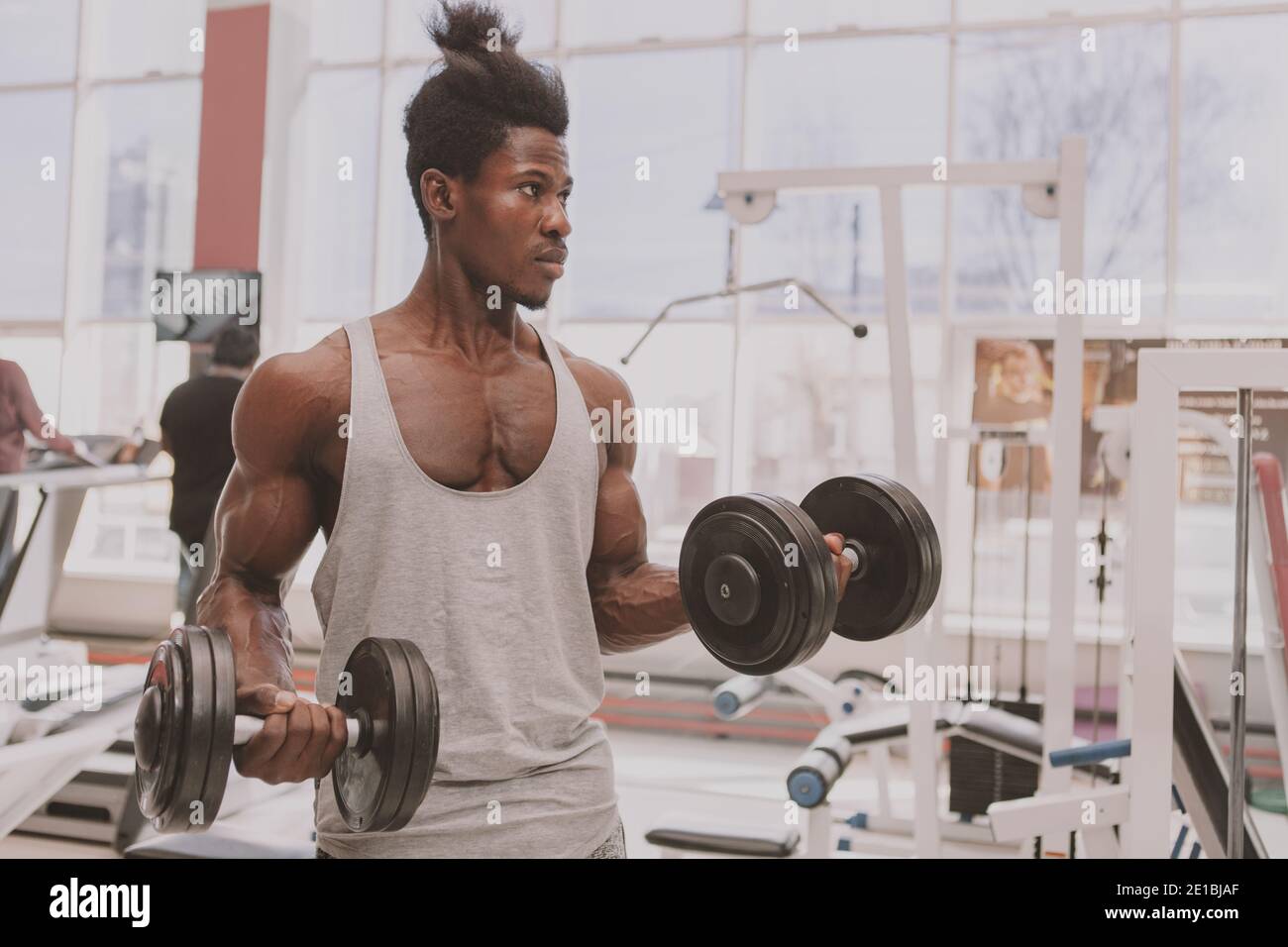 Schöner afrikanischer Sportler, der konzentriert aussieht und schwere Hanteln im Fitnessstudio hebt. Attraktiver männlicher Athlet beim Training mit Gewichten im Sportstudio, Kopie Stockfoto