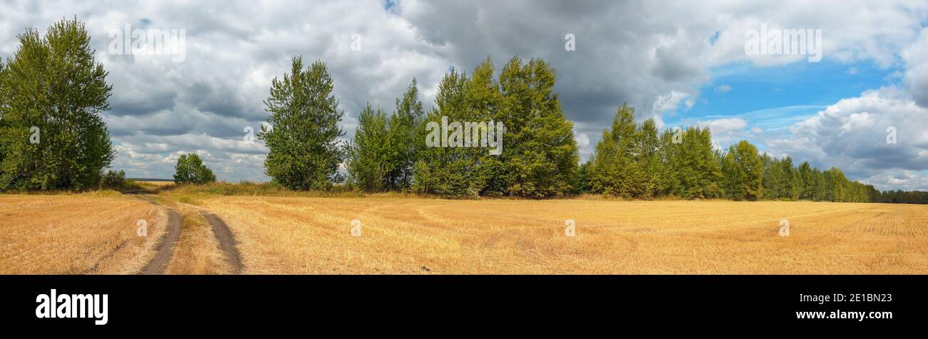 Schöne sonnige ländliche Landschaft mit bewölktem Himmel über dem leeren goldenes Feld Stockfoto